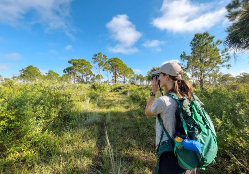 Exploring Charitable Activities for Families in Southeast Florida