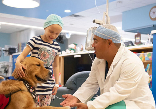The Impact of Animal Welfare Charities in Southeast Florida